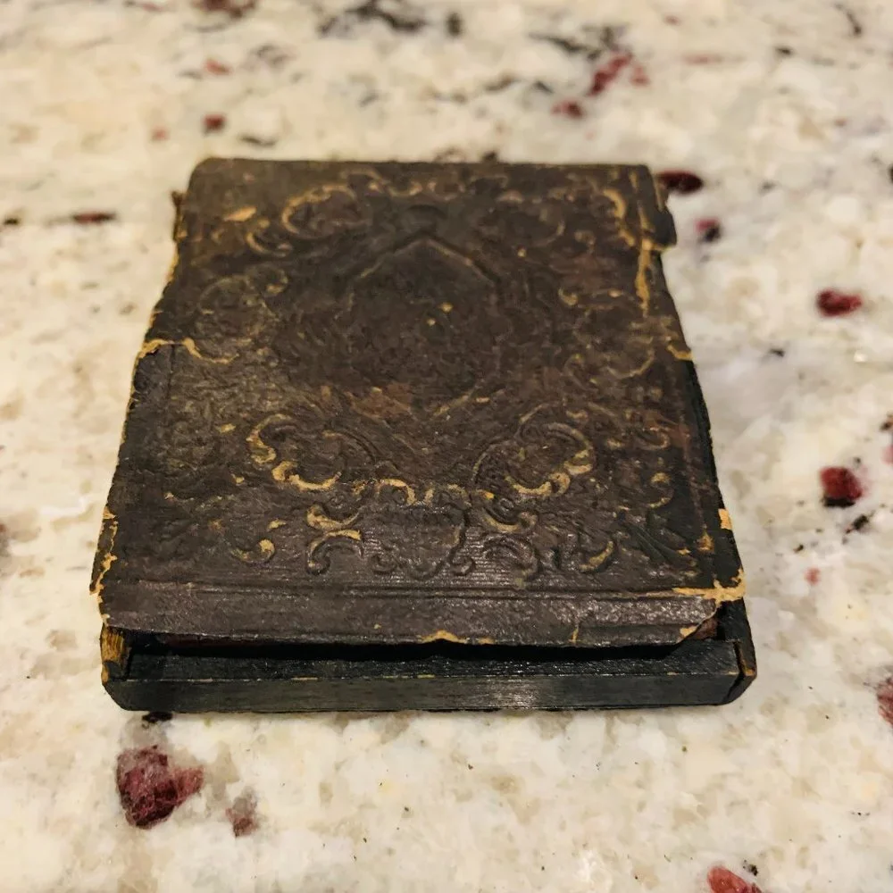 1/6th Plate Ambrotype Daguerreotype Of A Young Girl Women In A Full Case